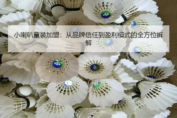 小喇叭童装加盟：从品牌信任到盈利模式的全方位拆解
