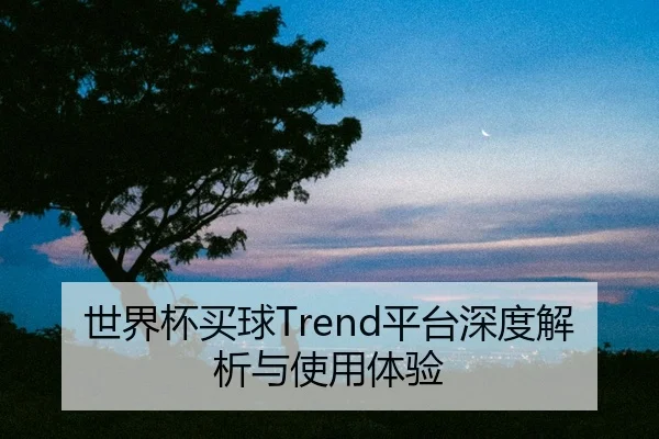 世界杯买球Trend平台深度解析与使用体验