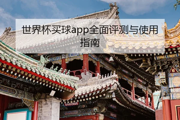 世界杯买球app全面评测与使用指南