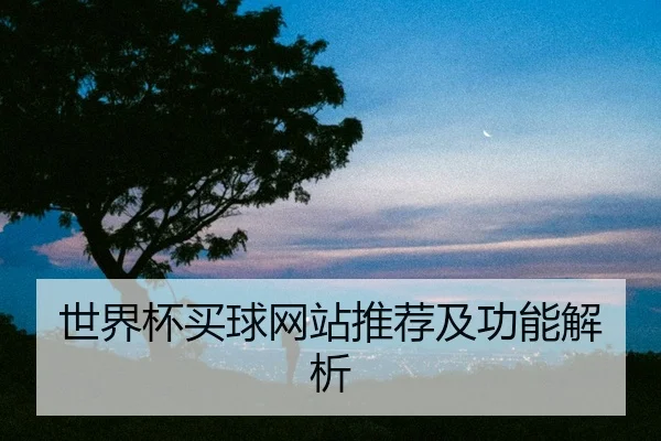世界杯买球网站推荐及功能解析